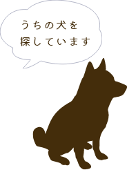 うちの犬を探しています