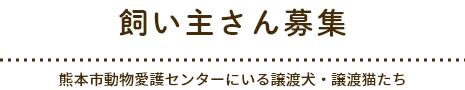 飼い主さん募集