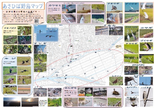野鳥マップ　スクリーンショット画像