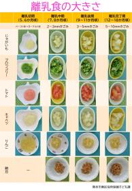 離乳食の大きさの見本
