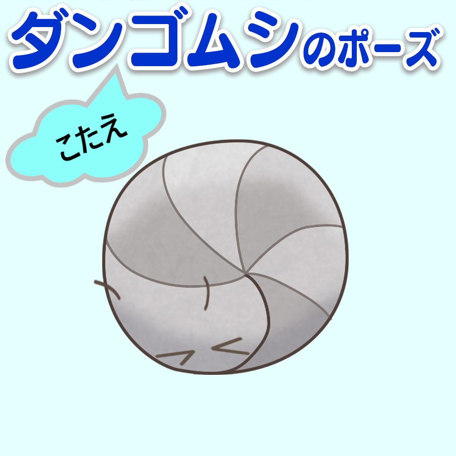 2丸ダンゴムシ
