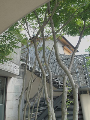 階段