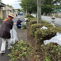 八丁馬場剪定作業