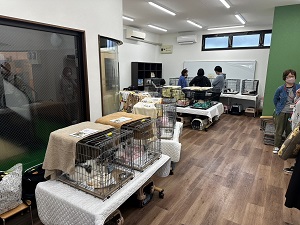 猫の譲渡会(2)