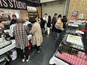 猫譲渡会(2)