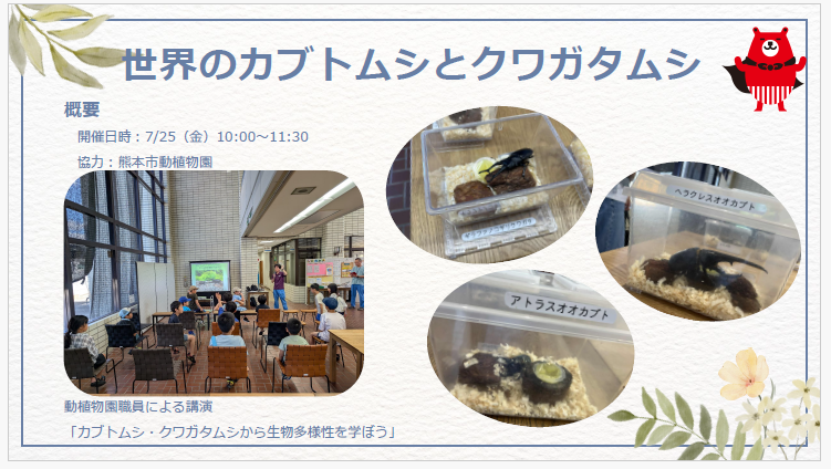 08.07.25　世界のカブトムシとクワガタムシ