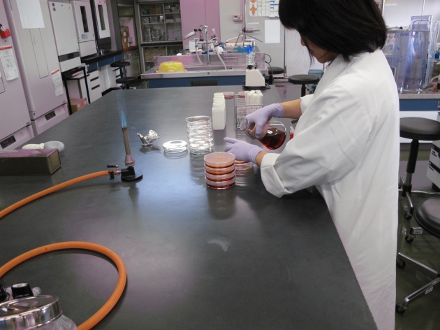 環境衛生に関する微生物検査(1) 環境衛生に関する微生物検査(1)