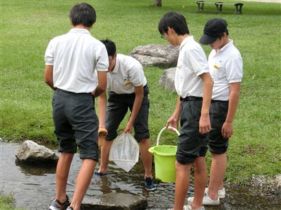 水生生物1 水生生物1