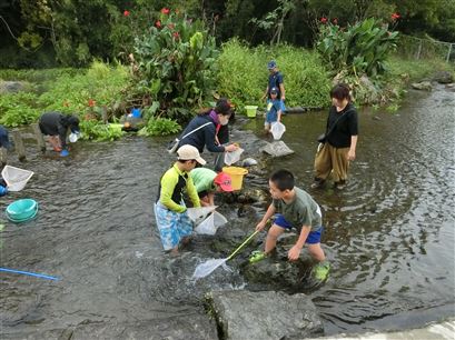 水生生物観察会 水生生物観察会