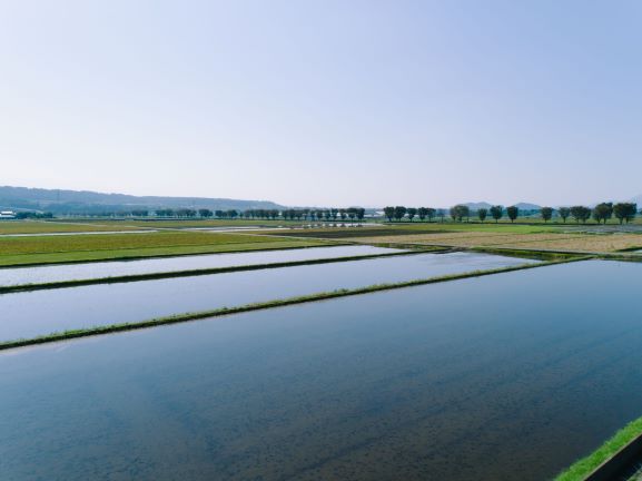 湛水写真 湛水写真