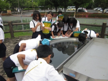 小学生学びの風景