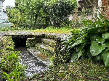 延命水