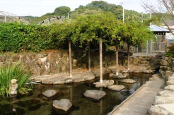 尾田の丸池
