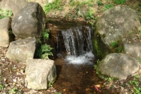 zuigann 