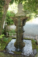 unngann