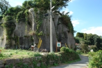 nariwa