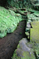 igawa 