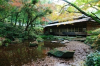 jyoudou