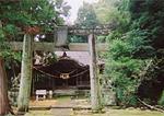 太郎迫神社の湧水