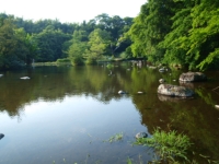 八景水谷 