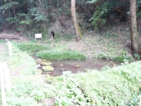 内の北井川