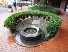 桜の井戸
