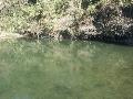 小清水の池