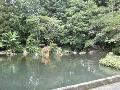 小野の泉水