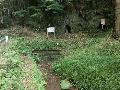 内の北井川