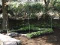 菱形の池