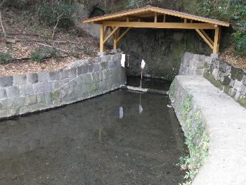 年神さんの湧水