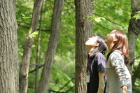 写真3