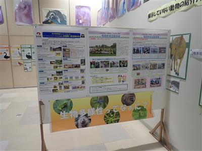 2025生物多様性展示(2)