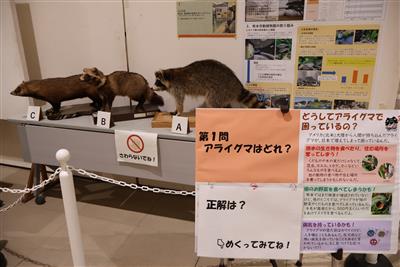 2025生物多様性展示(1)