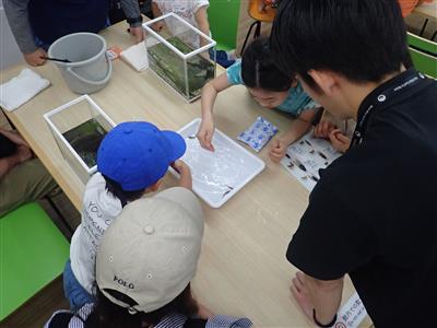 2025水槽づくり体験(2)