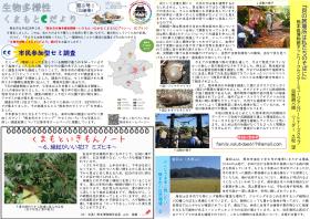 Cだより第6号イメージ