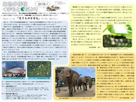 第9号案イメージ表面