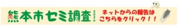 Logoフォームバーナー