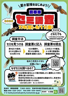 セミ調査2026チラシ