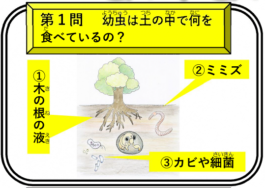 第1問