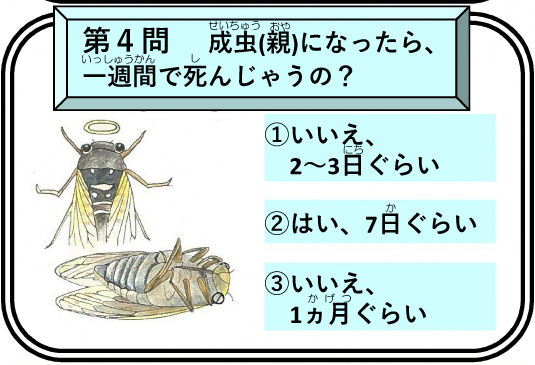 第4問