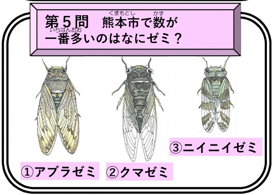 第5問