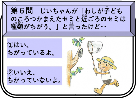 第6問