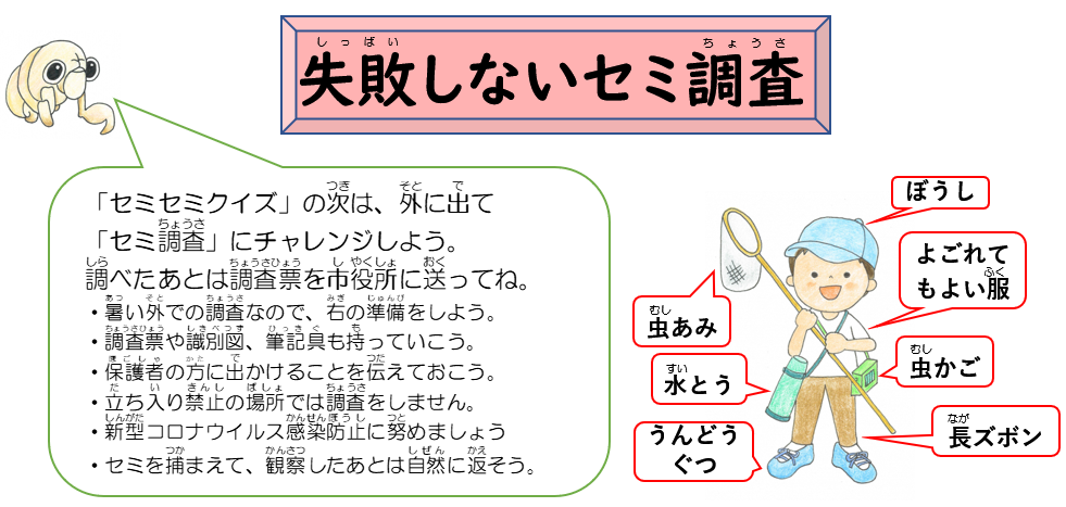 失敗しないセミ調査 失敗しないセミ調査