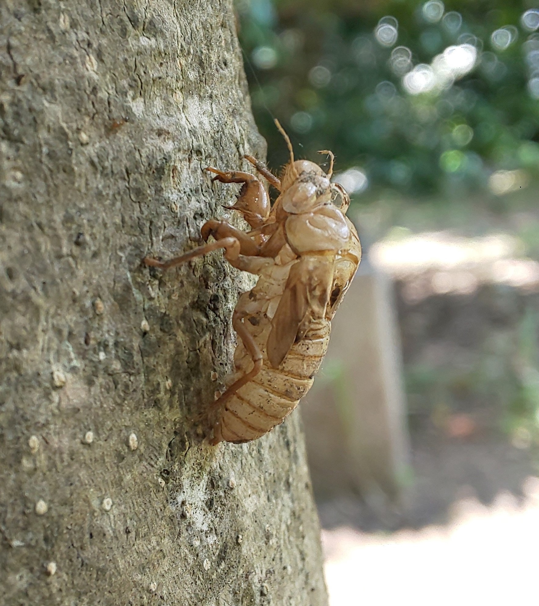 写真8