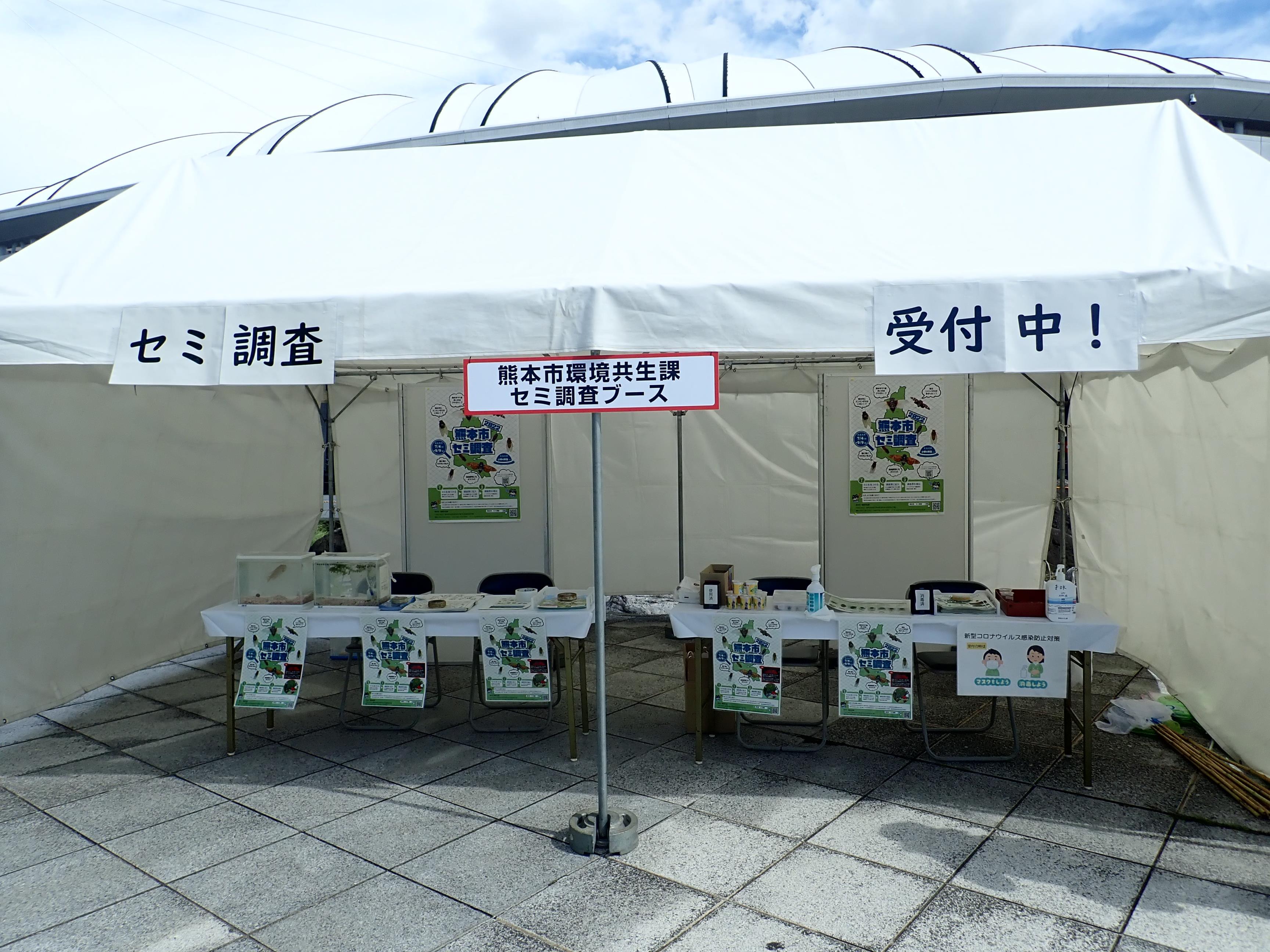 セミ調査展示ブース セミ調査展示ブース