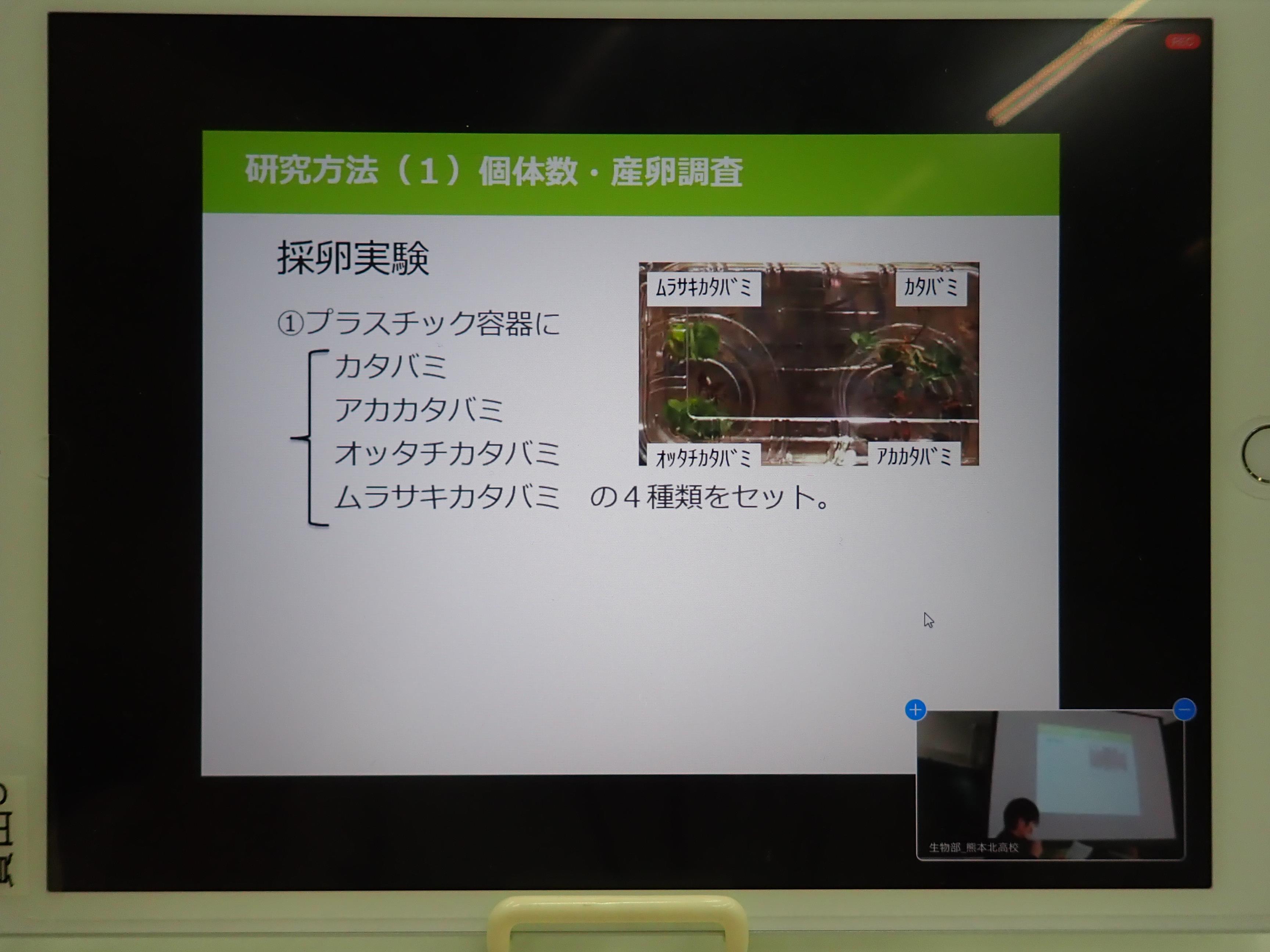 熊本北高等学校2