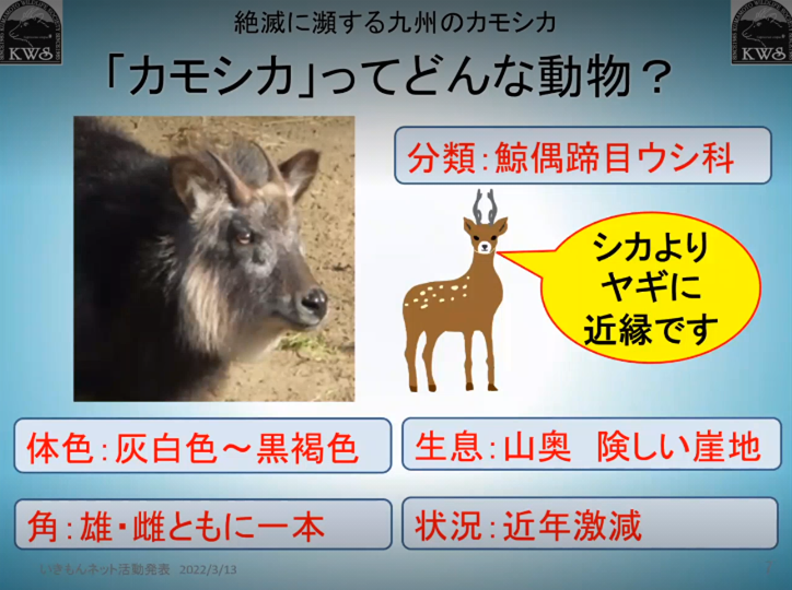 活動報告2