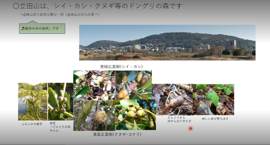活動報告4