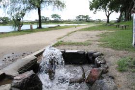 江津湖の湧水